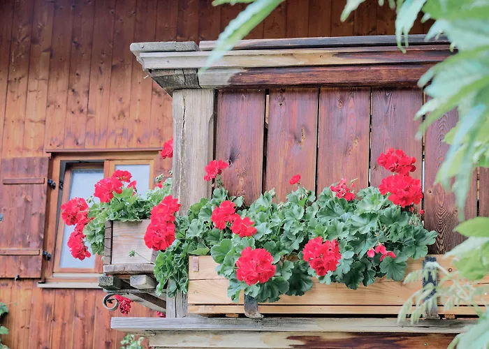 Der Lederer Hof - Boutique Apartments
